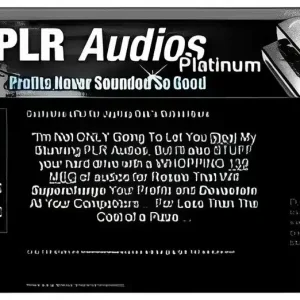 eCover representing PLR Audios Platinum Audio & Music with Personal Use Rights